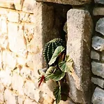 Archontiko Epirus 1 *