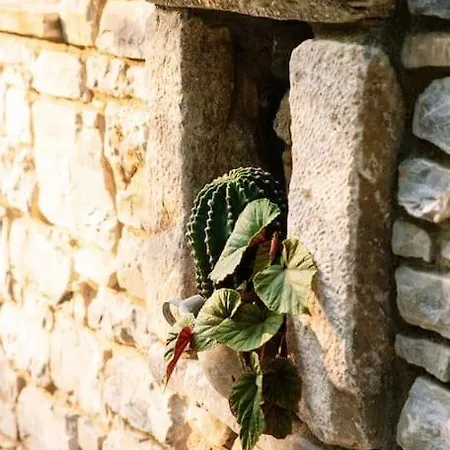 Archontiko Epirus 1 *