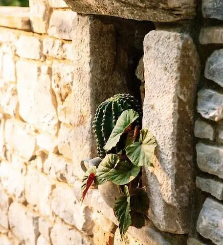 Archontiko Epirus 1 *